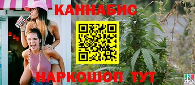 мдпв Пугачёв