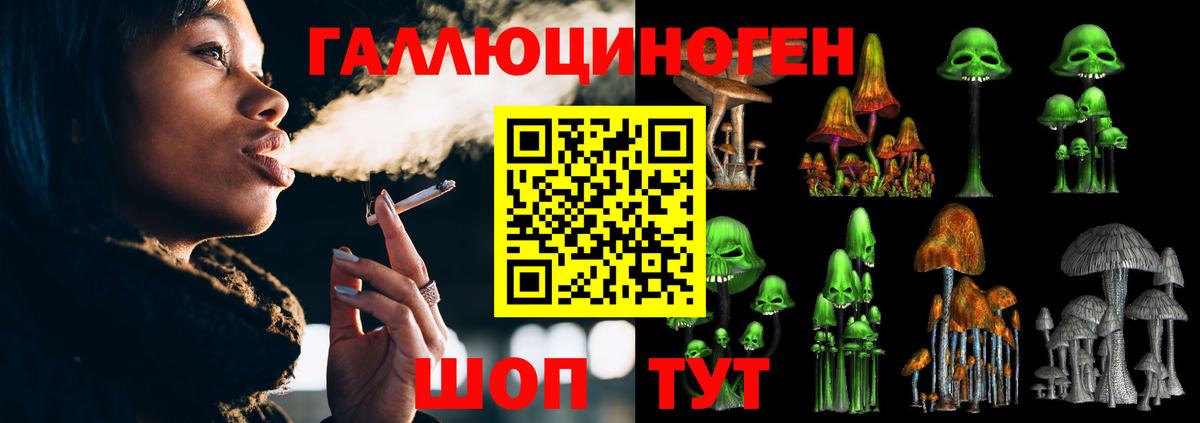 Псилоцибиновые грибы GOLDEN TEACHER  цена   Псков  Псилоцибиновые грибы MAGIC MUSHROOMS  Вход с VPN 